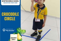 Crocodile31