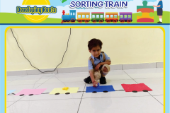 Colour-Shorting-11
