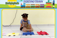 Colour-Shorting-4