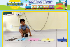 Colour-Shorting-6