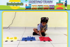 Colour-Shorting-8