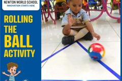 Rolling Ball Activity